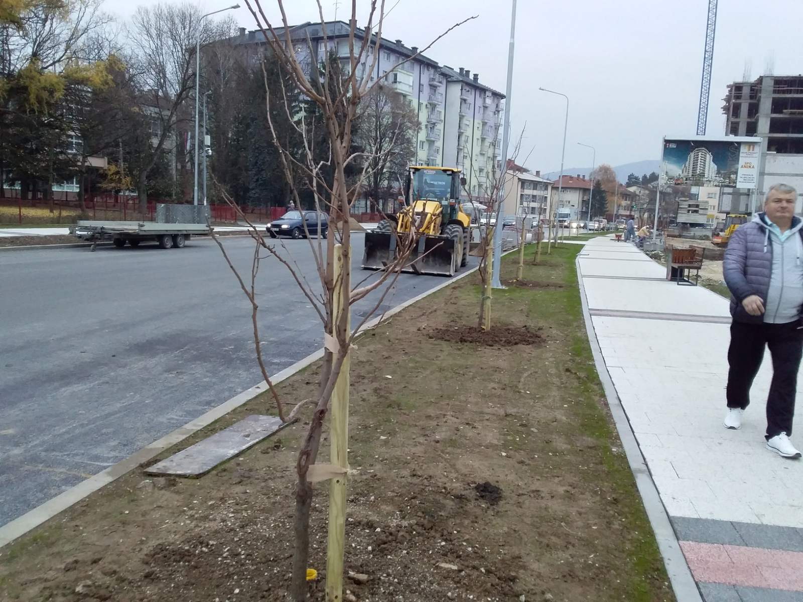 sadnice u bulevaru doboj