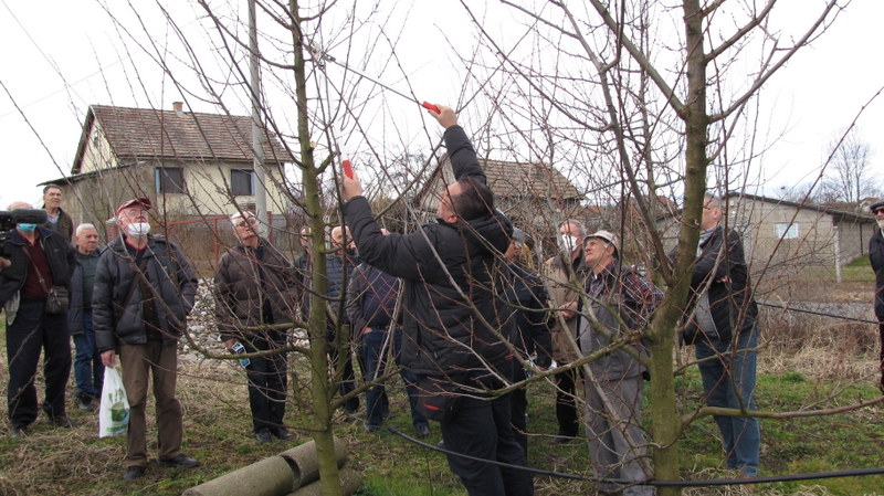 penzioneri doboj kurs vocarsdtva 05