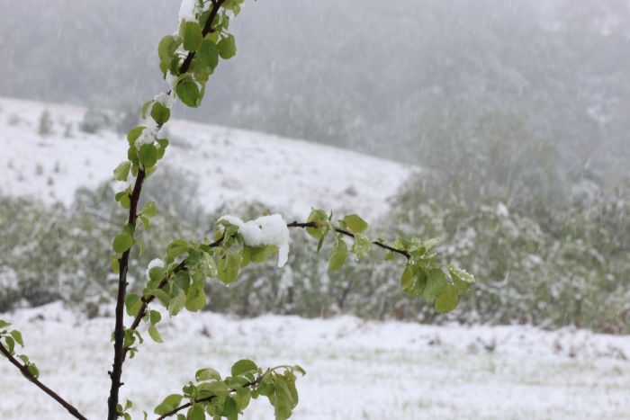 FOTO: SINIŠA PAŠALIĆ/RINGIER