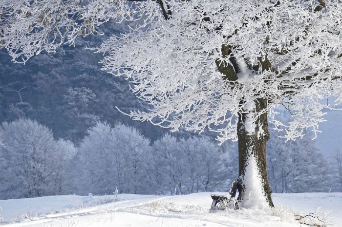 FOTO: Dobojski Info | VRIJEME: Uz sunčane periode i blagi porast temperature vazduha