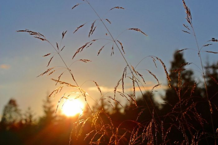 FOTO: Dobojski Info | VRIJEME: Danas pretežno sunčano, na jugoistoku kiša