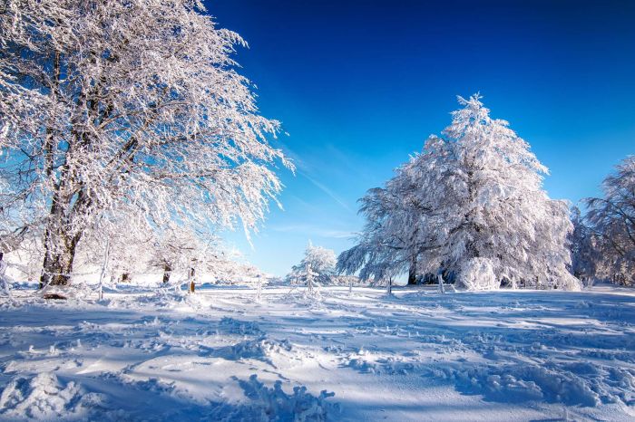 FOTO: Dobojski Info | VRIJEME: Sunčano i veoma hladno