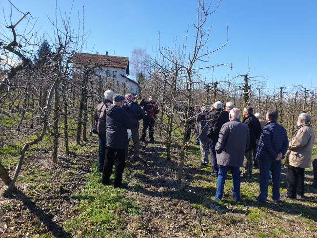 FOTO: Dobojski Info | DOBOJ: Penzioneri na edukaciji za rad u pčelinjacima i voćnjacima