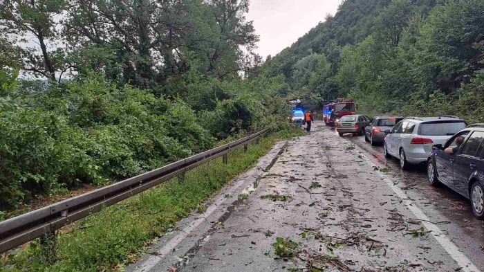 FOTO: Dobojski Info | PUTEVI: Oprez zbog polomljenog granja po kolovozima