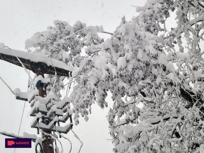 FOTO: Dobojski Info | DOBOJ: Bez struje još 280 potrošača