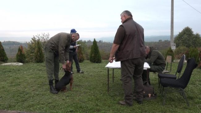 FOTO: RTV Doboj | DOBOJ: Održano polaganje ispita urođenih osobina pasa glasnog gona u lovu na divlju svinju