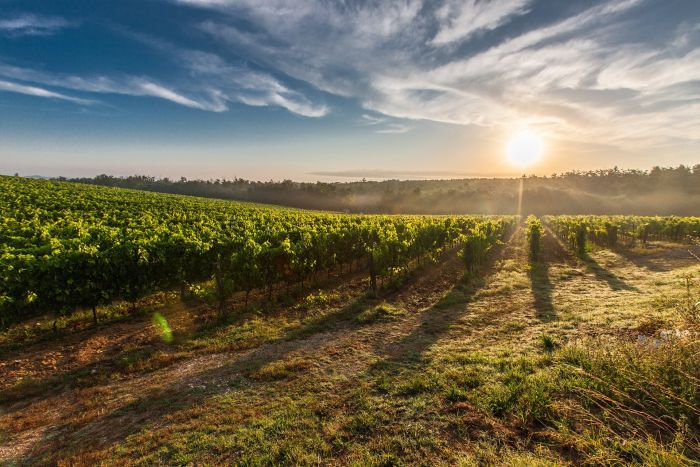 FOTO: Dobojski Info | VRIJEME: Sutra pretežno sunčano i toplije