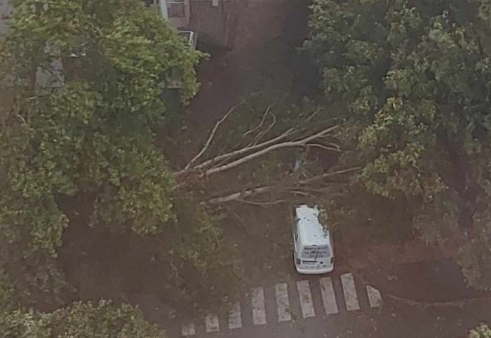 FOTO: Dobojski Info | JAK VJETAR I KIŠA IZAZVALI HAOS U DOBOJU: Stabla rušena, saobraćaj otežan