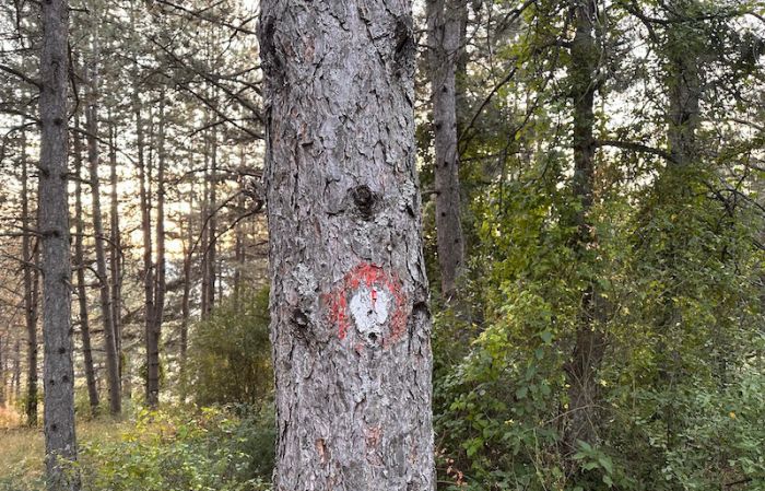 FOTO: Direkt | I BI NEDELJA: Svi smo udareni