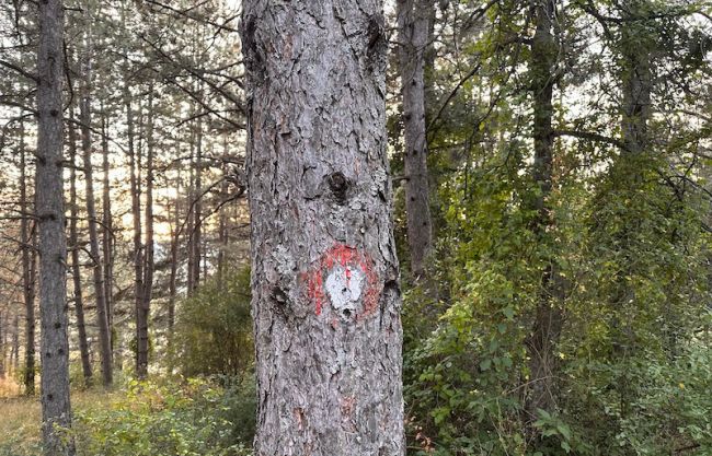 FOTO: Direkt | I BI NEDELJA: Svi smo udareni