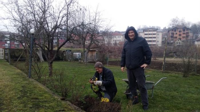 FOTO: Dobojski Info | DOBOJ: Povodom Nove godine drveća posađene jabuka i kajsija