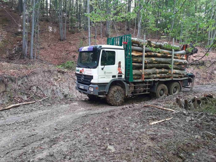 FOTO: Dobojski Info | DOBOJ: Šumsko gazdinstvo &quot;Doboj&quot; pred zabranom rada?