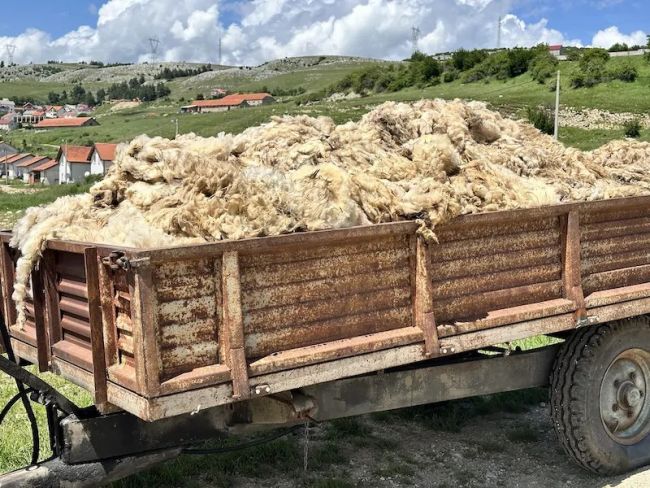 I BI NEDELJA: Budžet strižu, u džepove novac meću