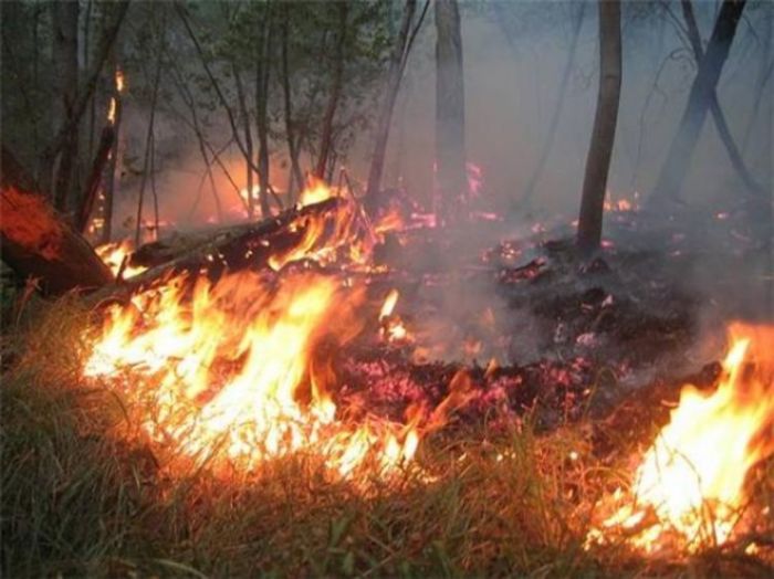 DOBOJ: Lokalizovan požar u Paklenici Gornjoj