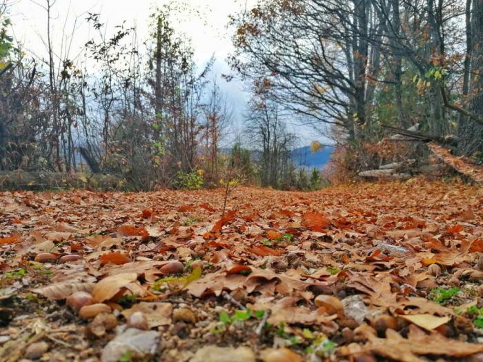 FOTO: Dobojski Info | VRIJEME: Pretežno sunčano uz postepeno naoblačenje tokom dana