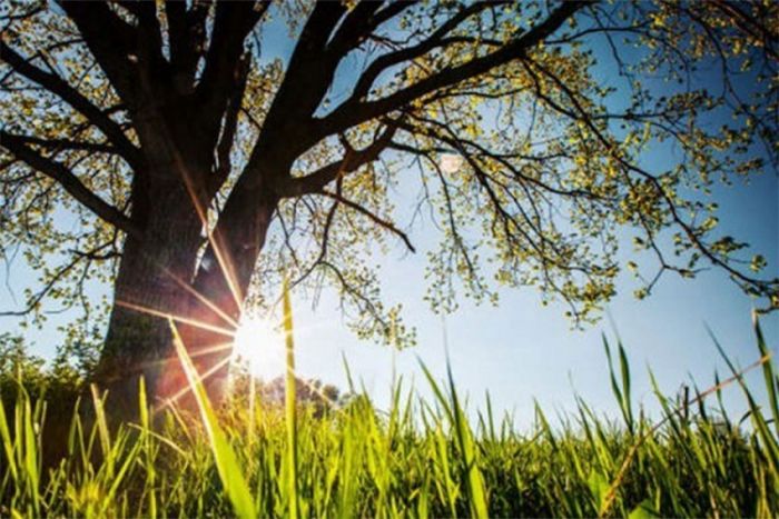 FOTO: Dobojski Info | VRIJEME: Sunčano i toplije