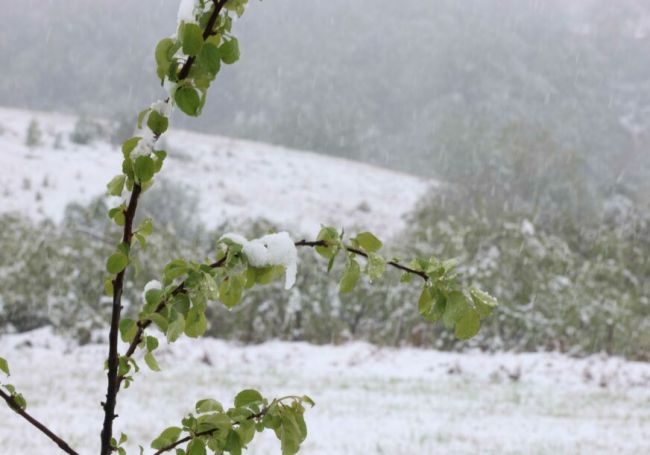 FOTO: SINIŠA PAŠALIĆ/RINGIER