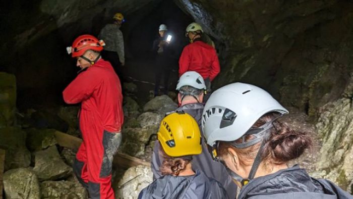 FOTO: Dobojski Info | DOBOJ: Na lokalitetu Ozrena uočeno stanište endemske vrste vodozemca tritona