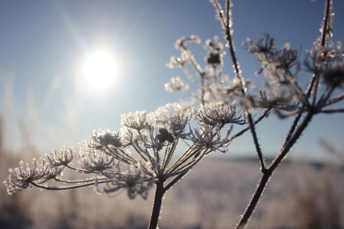 VRIJEME: Danas pretežno sunčano