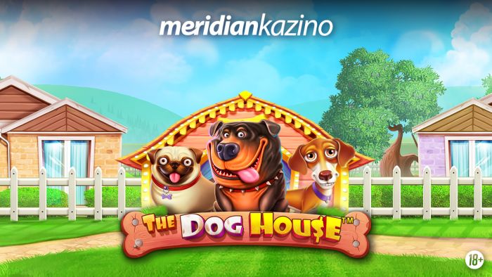 FOTO: Dobojski Info | MERIDIAN KAZINO: The Dog House – pokreni bonus igru sa ljepljivim džokerima!