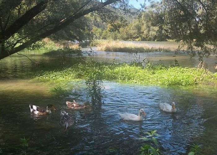 FOTO: Dobojski Info | VRIJEME: Sunčano i toplije, mogući kratkotrajni pljuskovi