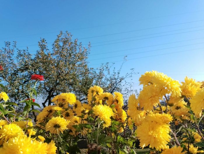 FOTO: Dobojski Info | VRIJEME: Pretežno sunčano i toplije, temperatura do 31 stepen