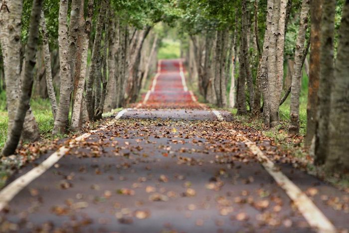 FOTO: Dobojski Info | VRIJEME: Danas vjetrovito i toplo, temperatura do 24 stepena