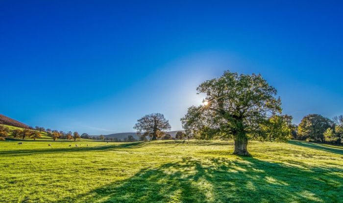 FOTO: Dobojski Info | VRIJEME: Sunčano i prijatno toplo