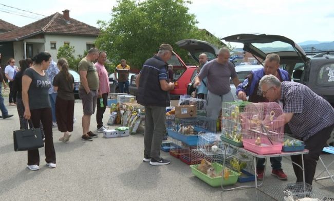 FOTO: Dobojski Info | DOBOJ: Društvo za uzgoj i zaštitu sitnih životinja "Dobojski odgajivač" organizuje Berzu sitnih životinja