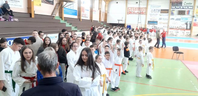 FOTO: Dobojski Info | DOBOJ: Osvrt na Otvoreni karate kup &quot;Liga karate šampiona&quot;